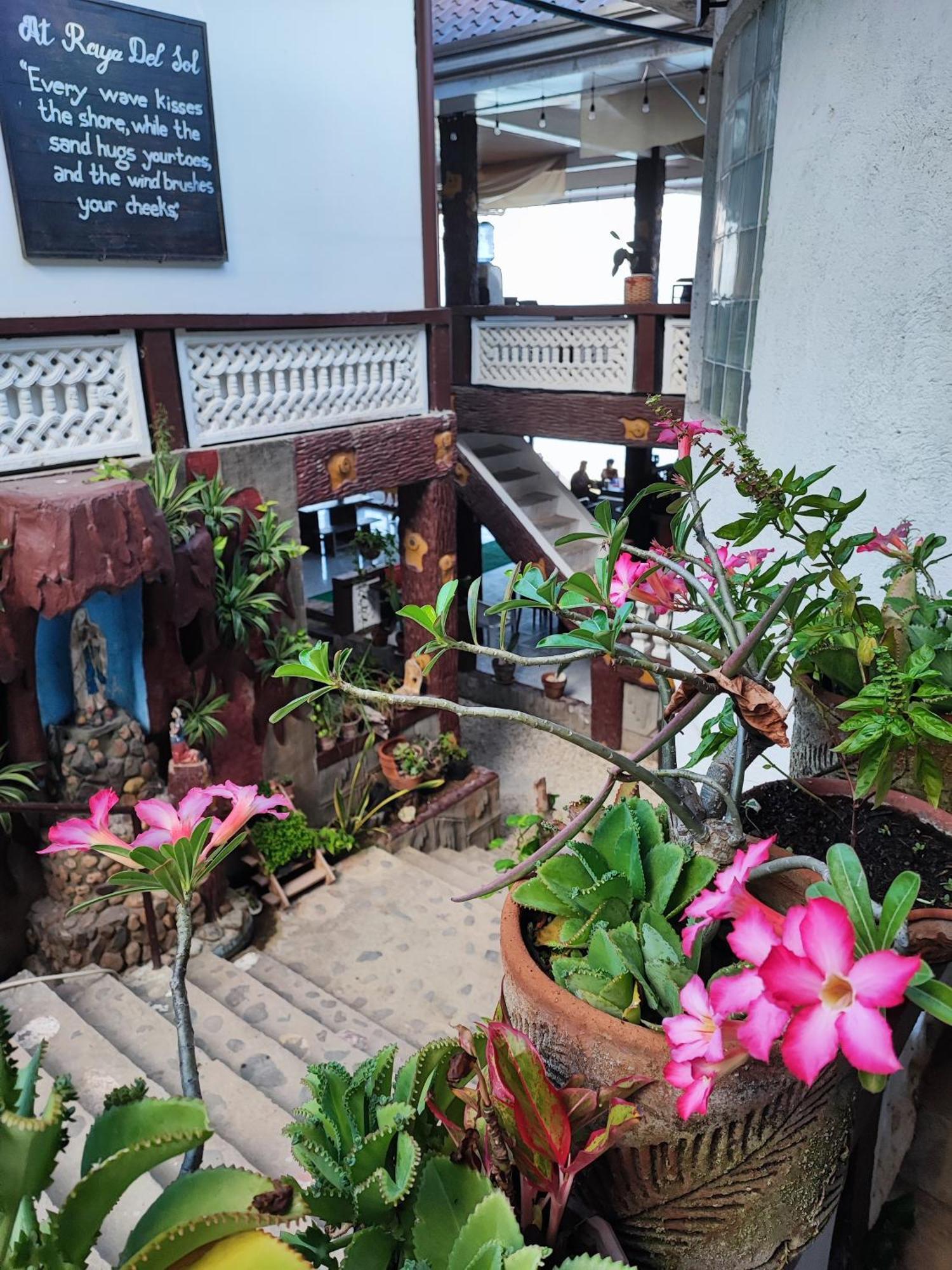 Raya Del Sol Dive Resort Mabini  Zewnętrze zdjęcie